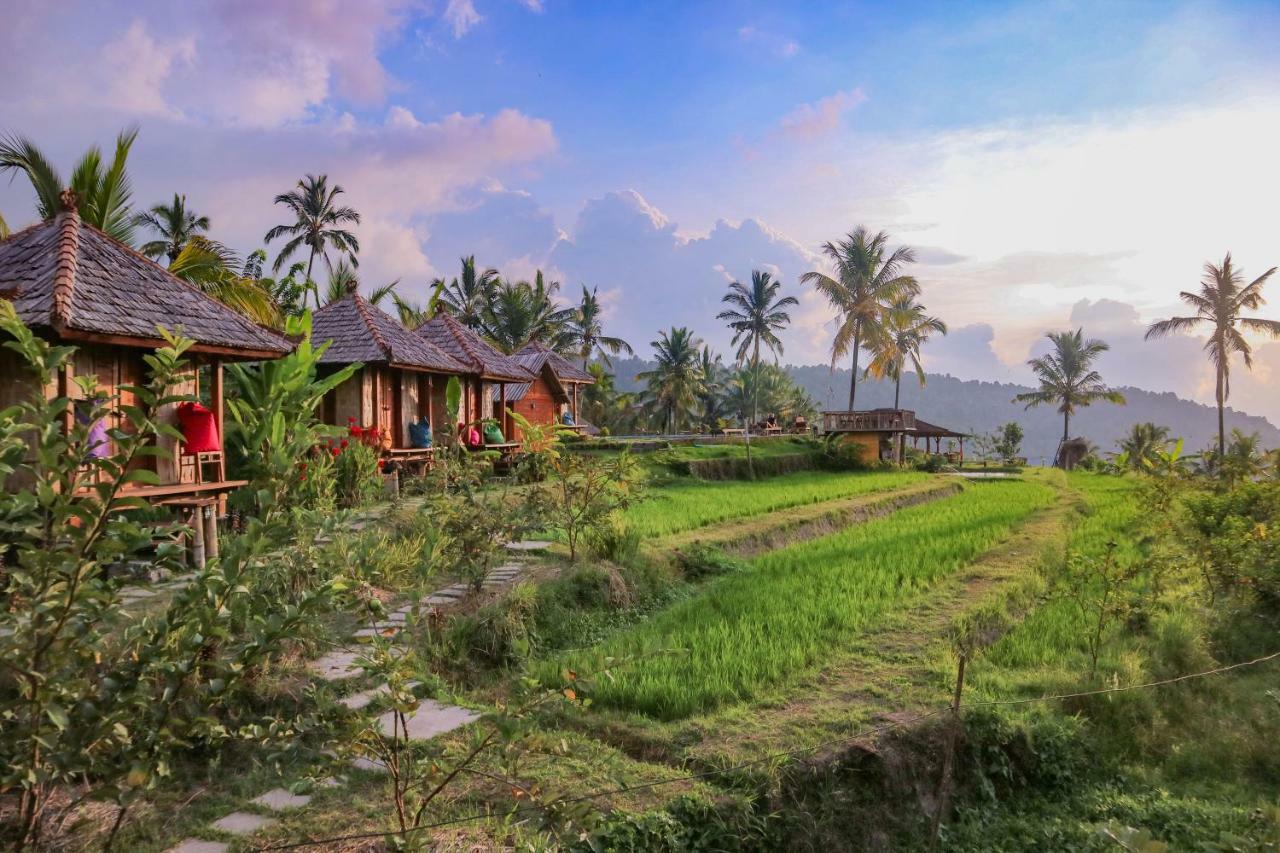 Puri Sunny Camp Villa Munduk Exteriör bild